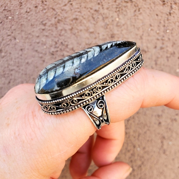New Huge Orthoceras Fossil 925 Silver Ring. - Picture 16 of 16